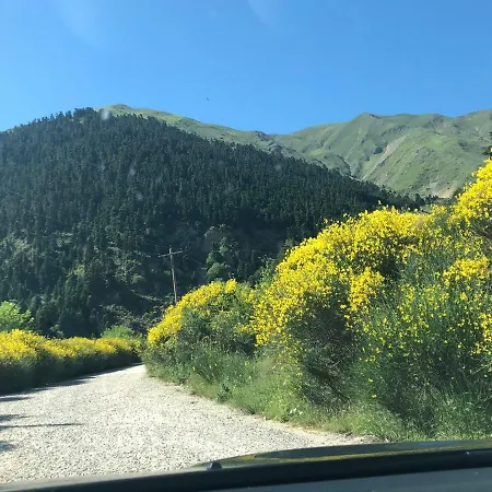 Willows Casa de Férias *