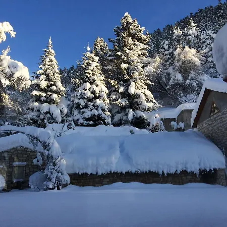 Willows קרפניסיון